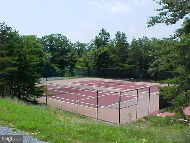 168 Holiday Road Cross Junction, VA 22625 - Photo 3 of 29 a view of a backyard with a large tree