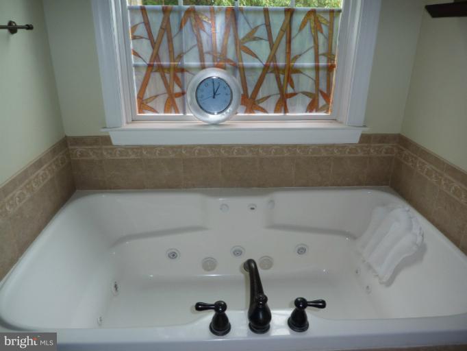 168 Holiday Road Cross Junction, VA 22625 - Photo 24 of 29 a view of a bathtub in a bathroom