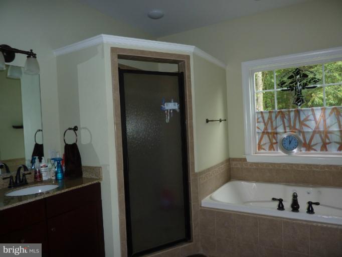 168 Holiday Road Cross Junction, VA 22625 - Photo 28 of 29 a bathroom with a bathtub and a sink