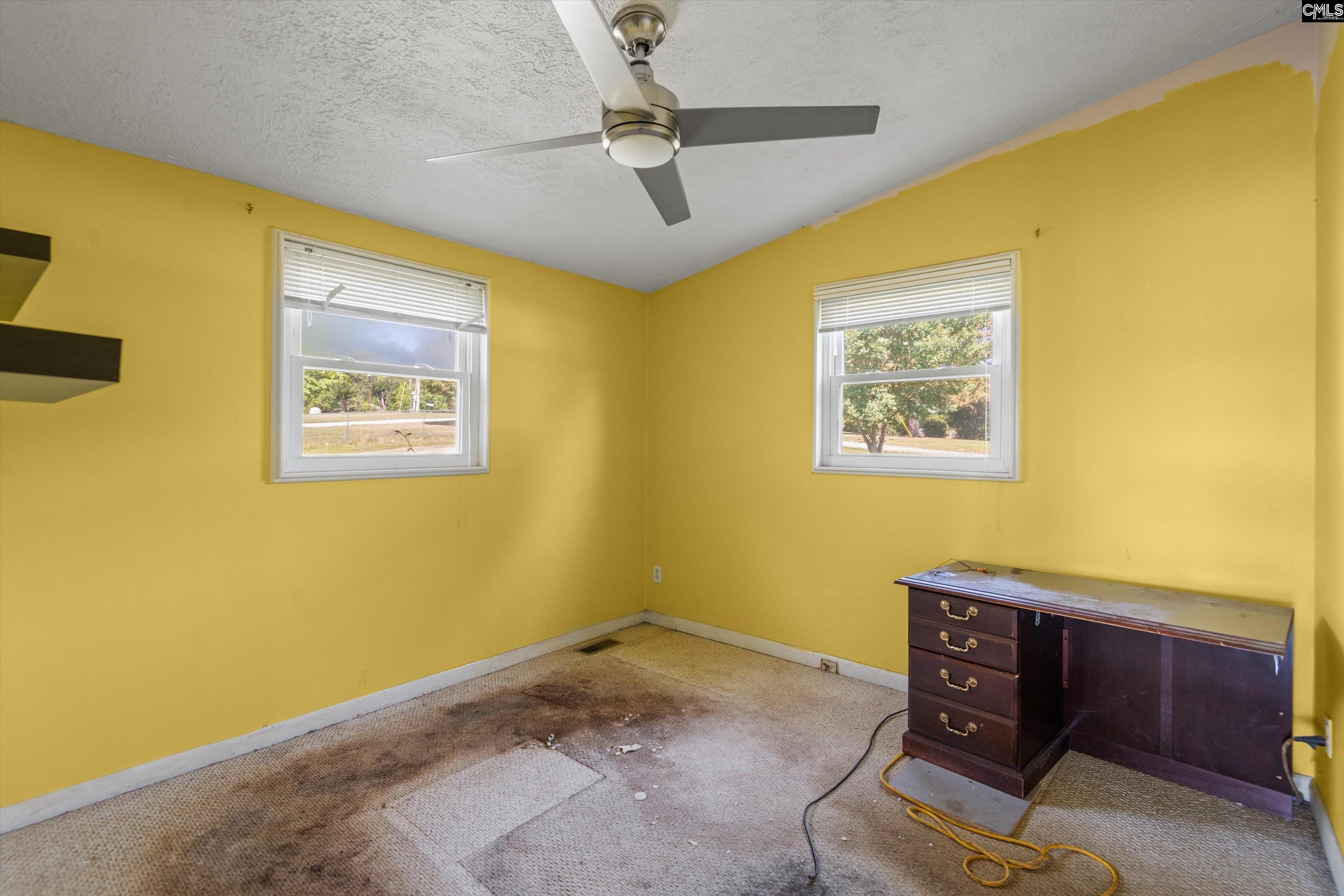 133 Williams Way Chapin, SC 29036 - Photo 19 of 34