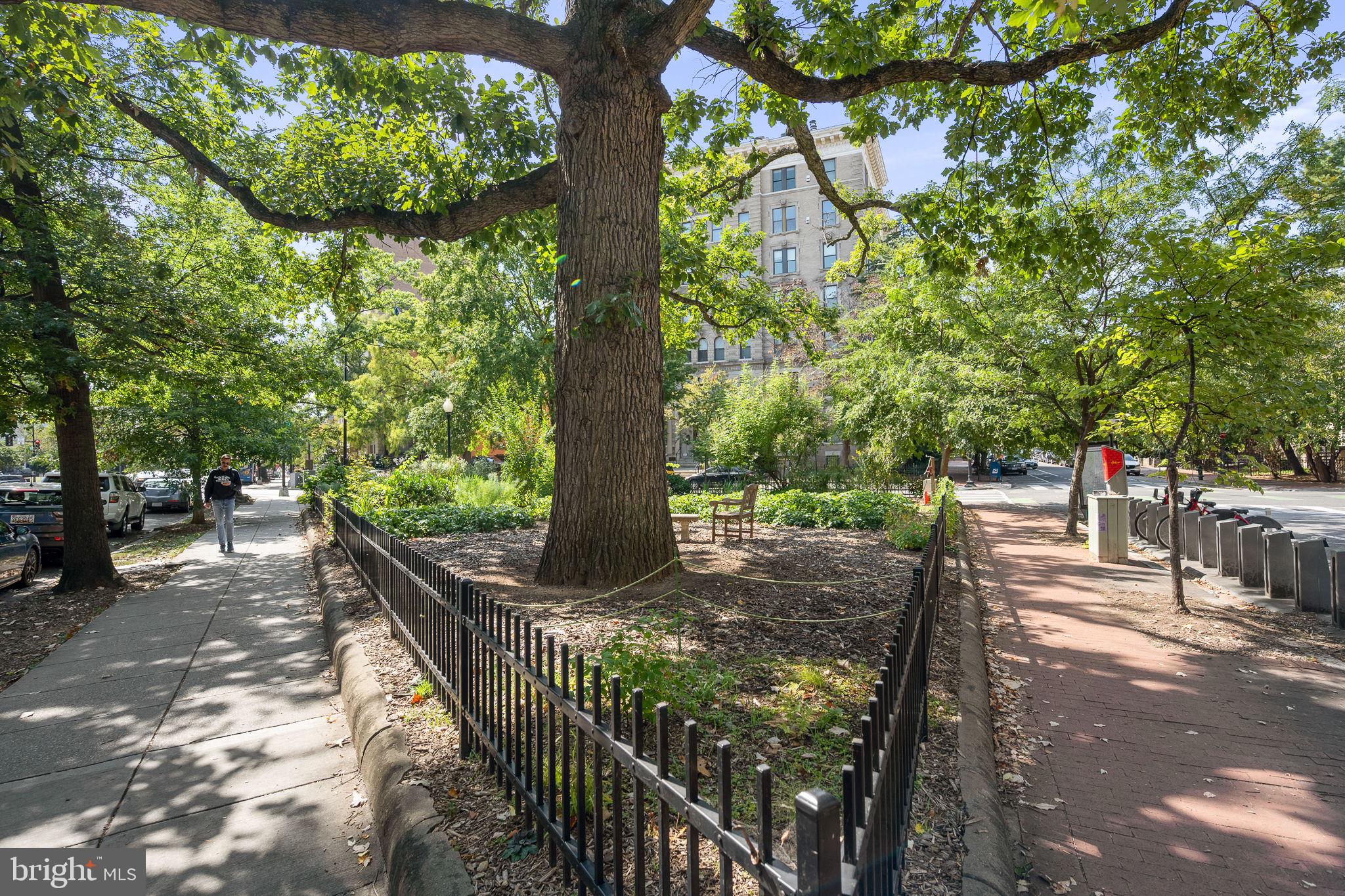 1621 T Street Northwest, Unit 207 Washington, DC 20009 - Photo 22 of 29 a view of street along with trees
