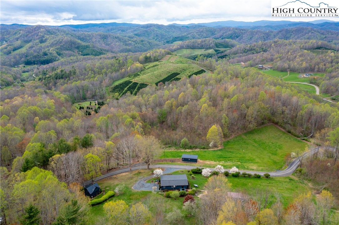 1771 Peak Road Creston, NC 28615 - Photo 1 of 49 Gallery Image 1