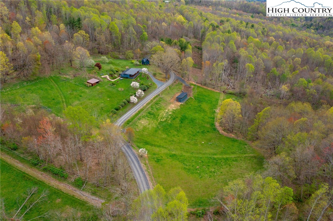 1771 Peak Road Creston, NC 28615 - Photo 3 of 49 Gallery Image 3
