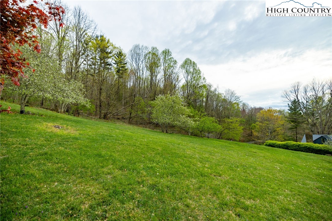 1771 Peak Road Creston, NC 28615 - Photo 40 of 49 Gallery Image 40