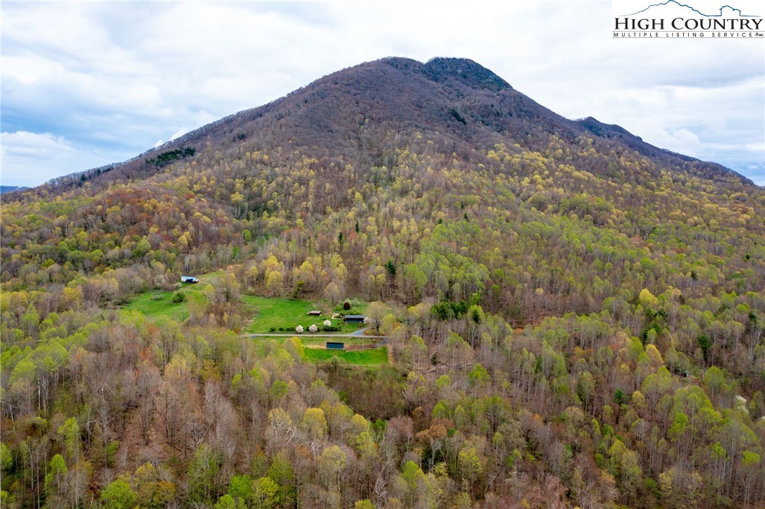 1771 Peak Road Creston, NC 28615 - Photo 44 of 49 Gallery Image 44