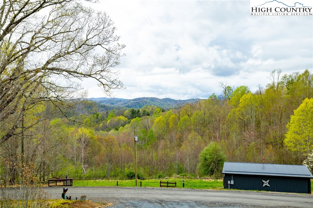 1771 Peak Road Creston, NC 28615 - Photo 8 of 49 Gallery Image 8