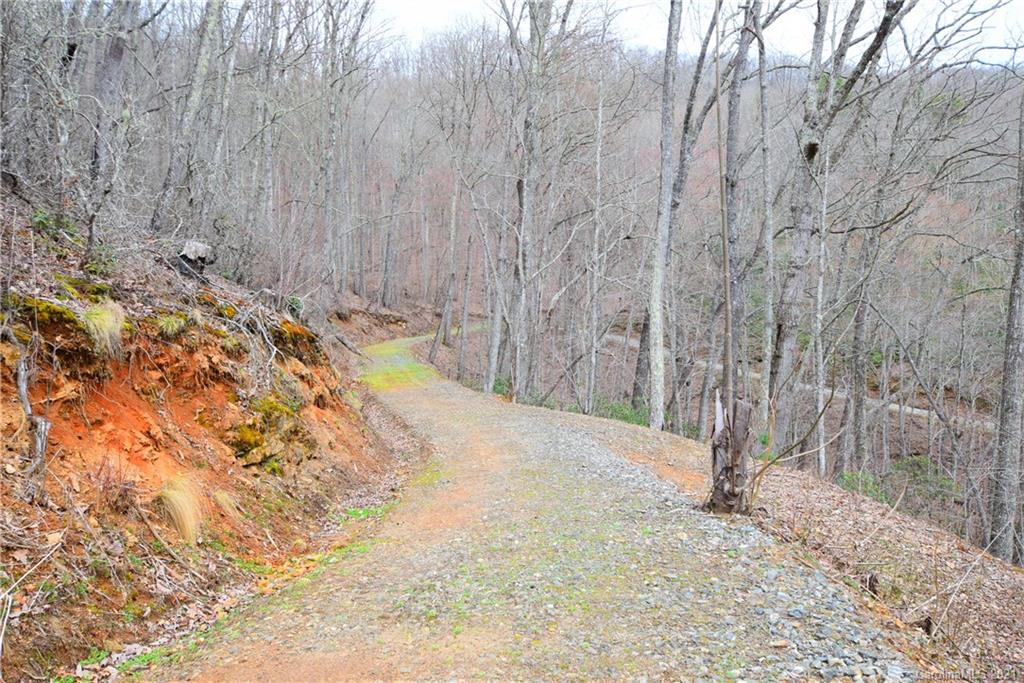 Lot 70 Deep Spring Road, Unit LOT 70 Sylva, NC 28779 - Photo 5 of 7 a view of a yard with trees