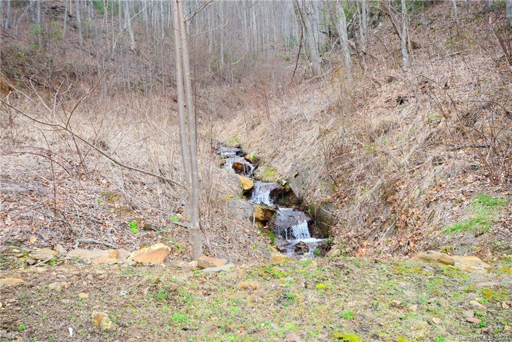 Lot 70 Deep Spring Road, Unit LOT 70 Sylva, NC 28779 - Photo 6 of 7