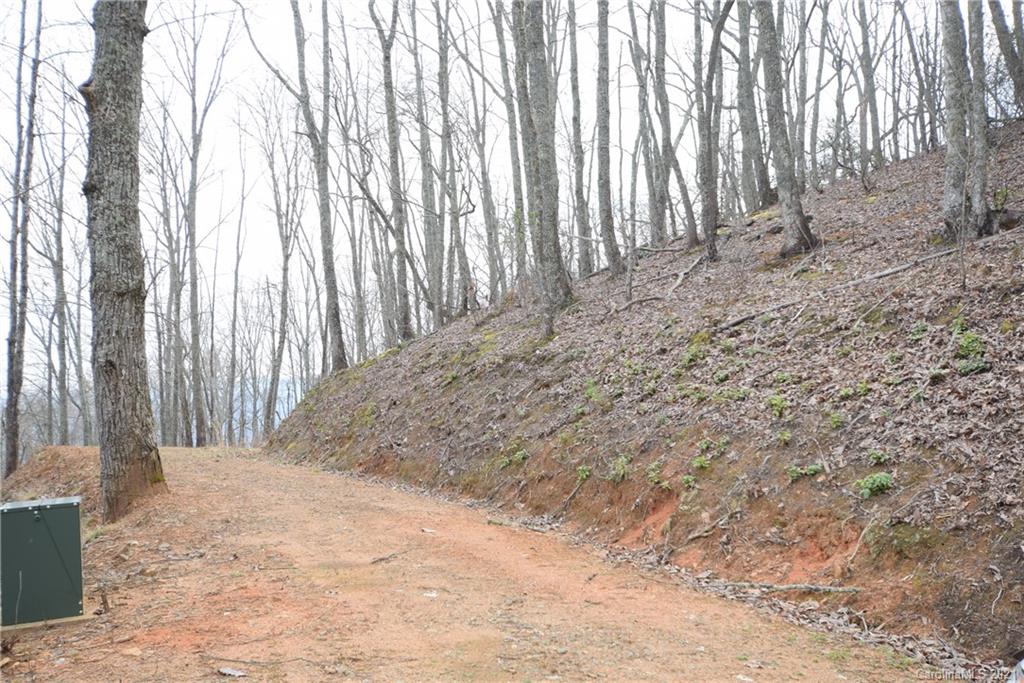Lot 70 Deep Spring Road, Unit LOT 70 Sylva, NC 28779 - Photo 7 of 7 a view of backyard with pathway