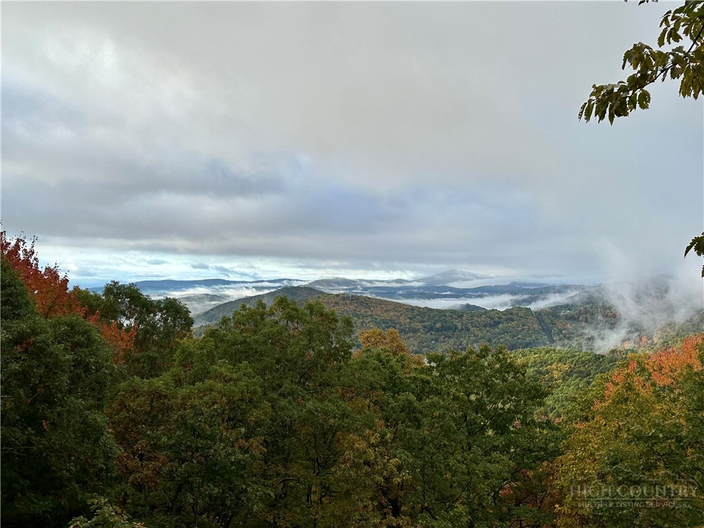 319 Sundance Road Todd, NC 28684 - Photo 28 of 50