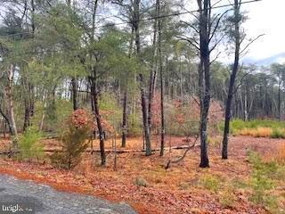 Gravelly Hill Road Bridgeton, NJ 08302 - Photo 3 of 5 a view of a park with large trees