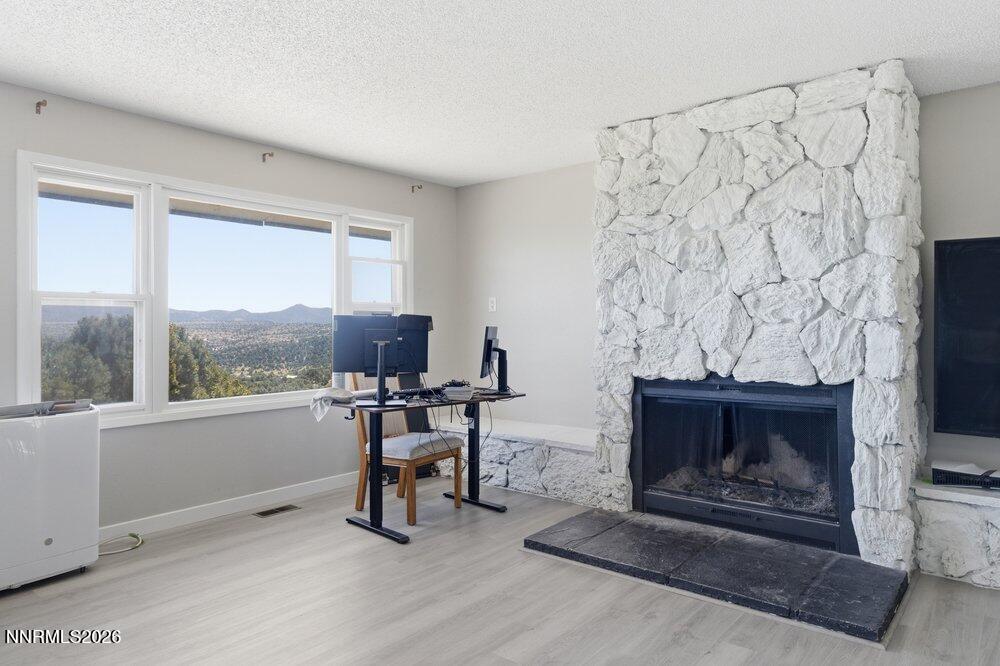2255 Sutro Drive Reno, NV 89521 - Photo 8 of 32 living3