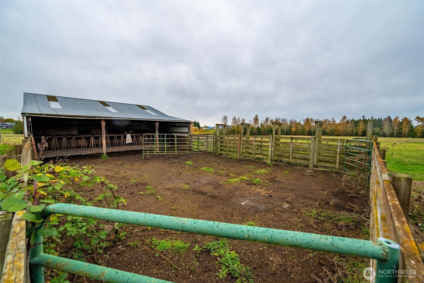 2988 Unick Road Ferndale, WA 98248 - Photo 28 of 38