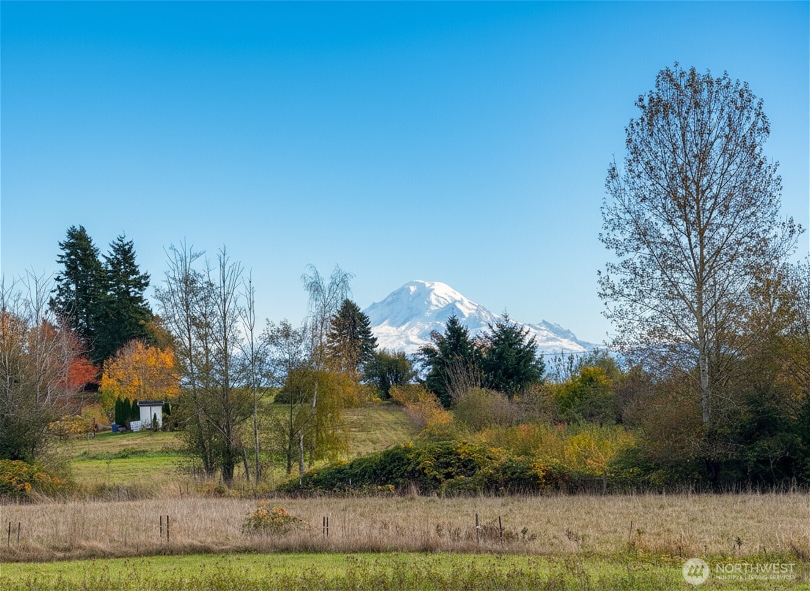 2988 Unick Road Ferndale, WA 98248 - Photo 3 of 38