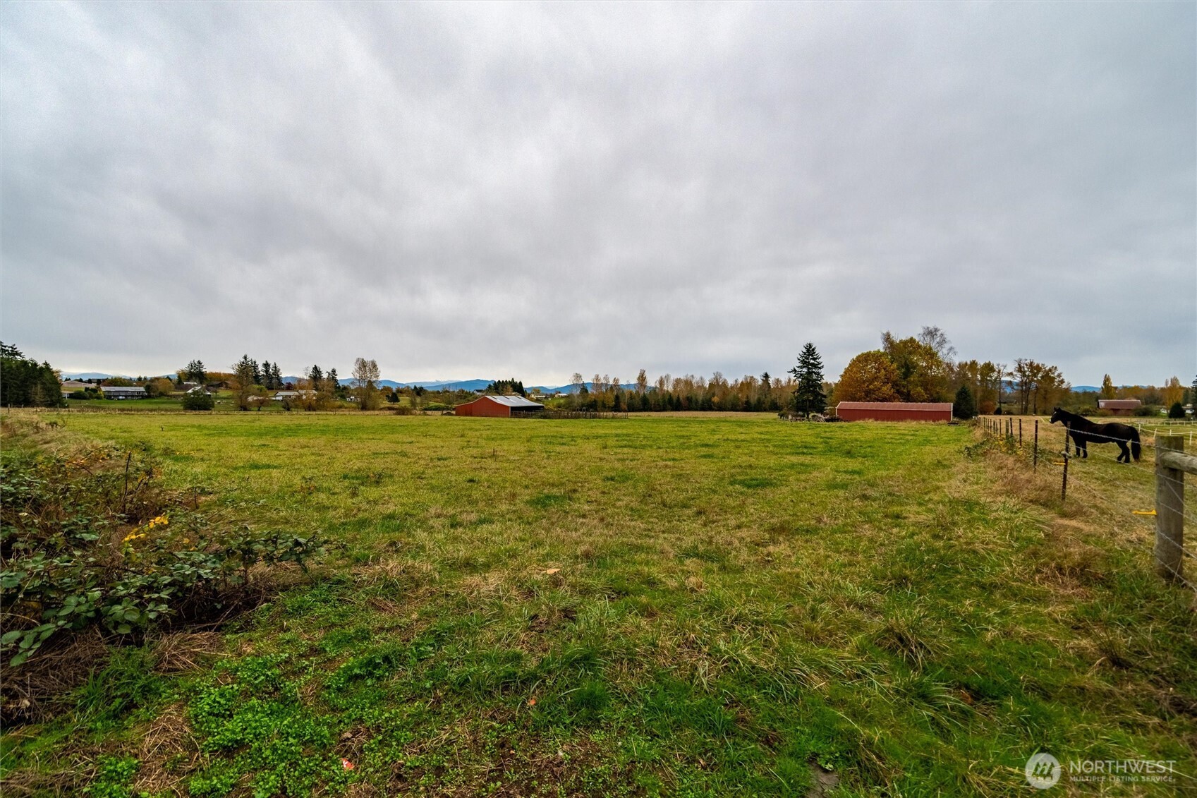 2988 Unick Road Ferndale, WA 98248 - Photo 34 of 38
