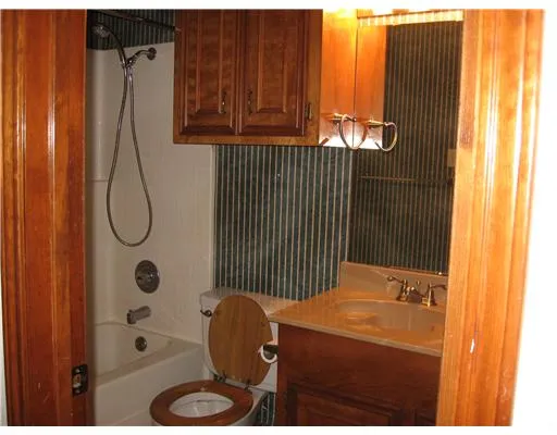 a bathroom with a tub and a window