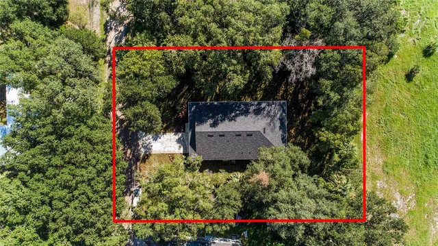 a view of a flower garden