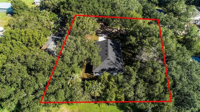 a picture of flowers