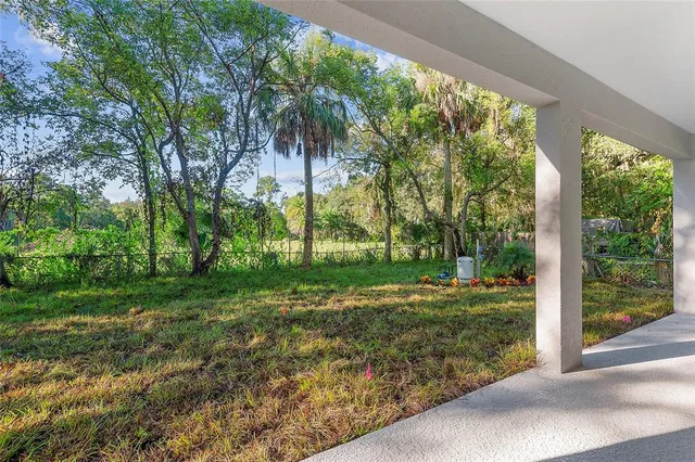 a view of a yard with plants and palm trees