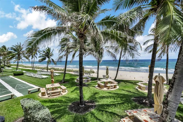 a view of a park with palm trees