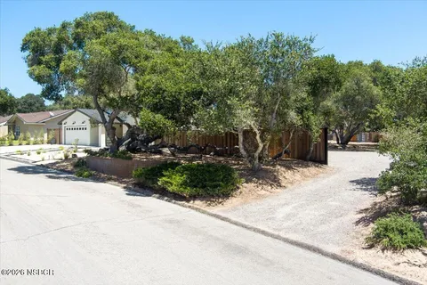 a front view of a house with yard and green space