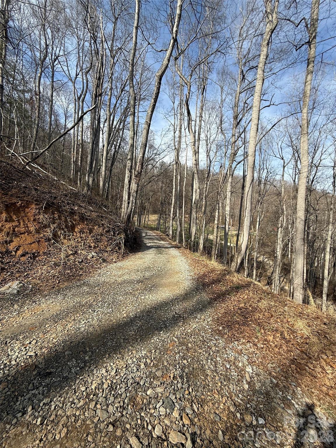 672 Porters Ridge Canton, NC 28716 - Photo 3 of 18