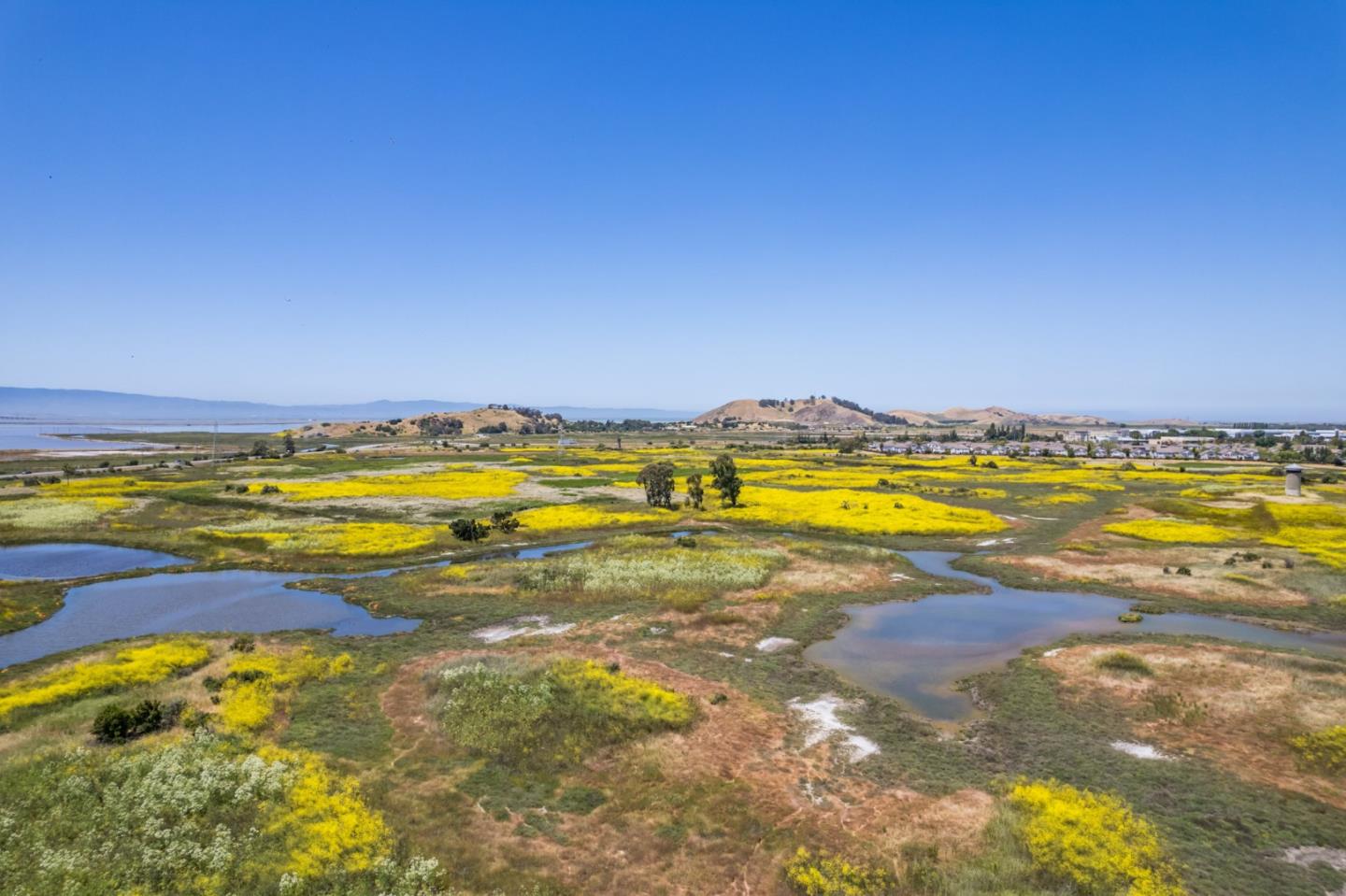 8497 Mayhews Landing Road Newark, CA 94560 - Photo 54 of 64 Gallery Image 54