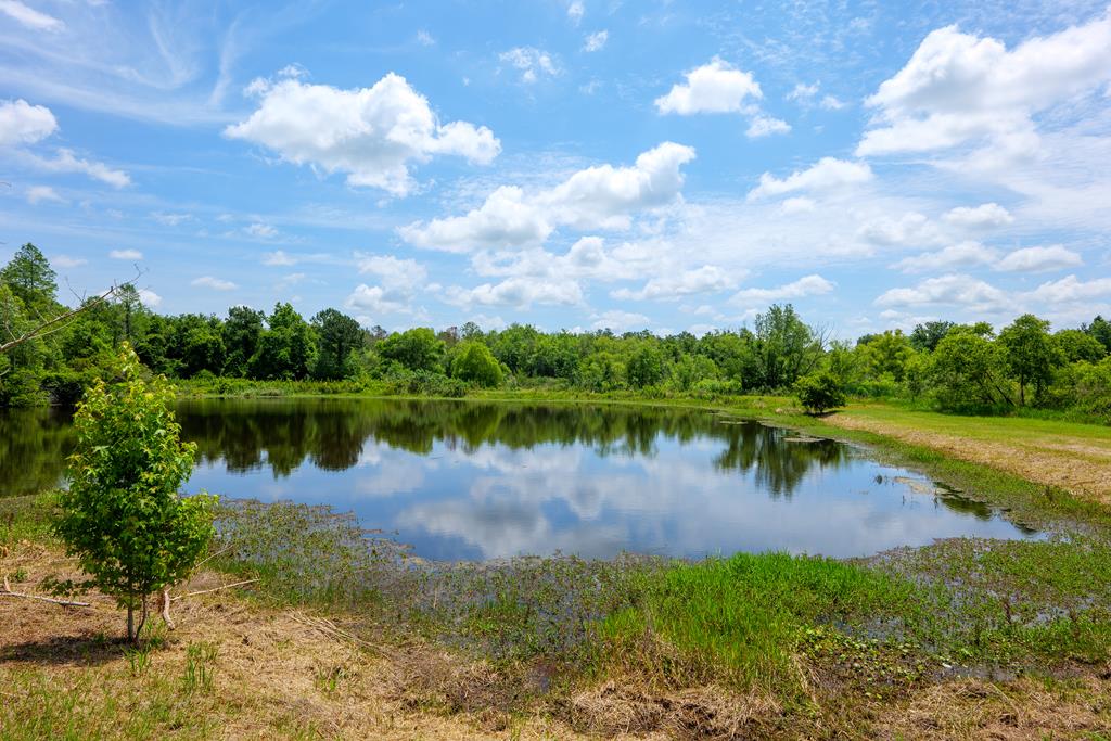 7346 Porter Road Lake Park, GA 31636 - Photo 6 of 59 Gallery Image 6