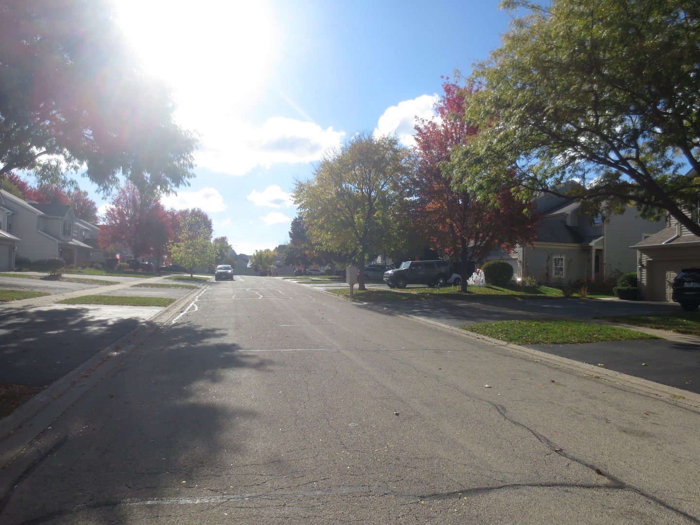 1049 Horizon Ridge Lake In The Hills, IL 60156 - Photo 5 of 5 a view of city street with large trees