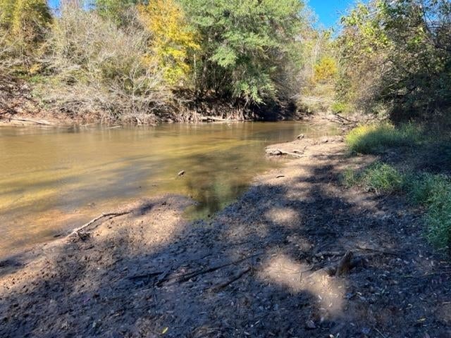 0 Unnamed Road Florala, AL 36442 - Photo 26 of 39 Gallery Image 26