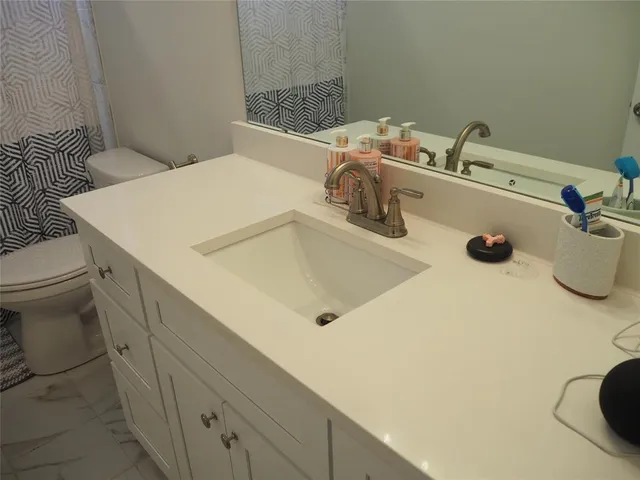a bathroom with a sink and a toilet