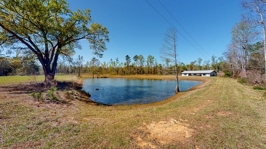6615 State Line Road Cottonwood, AL 36320 - Photo 7 of 49