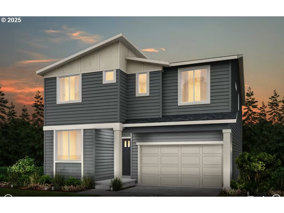 a view of a house with a yard and potted plants