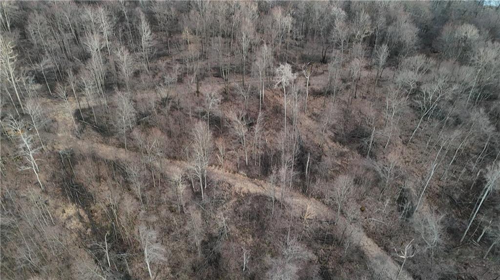 64-acres Along Gallagher & Loop Roads Dayton, PA 16222 - Photo 11 of 21 a view of a dry yard