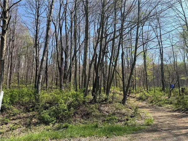 a view of outdoor space with lots of trees