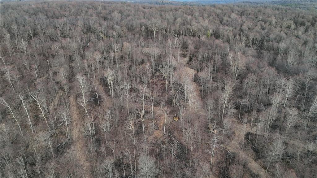 64-acres Along Gallagher & Loop Roads Dayton, PA 16222 - Photo 12 of 21