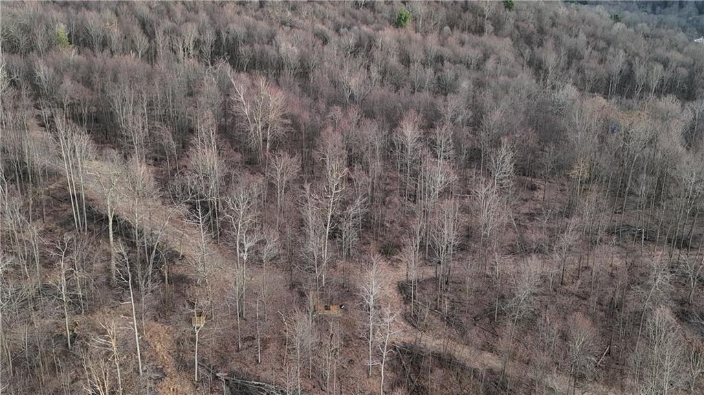 64-acres Along Gallagher & Loop Roads Dayton, PA 16222 - Photo 14 of 35