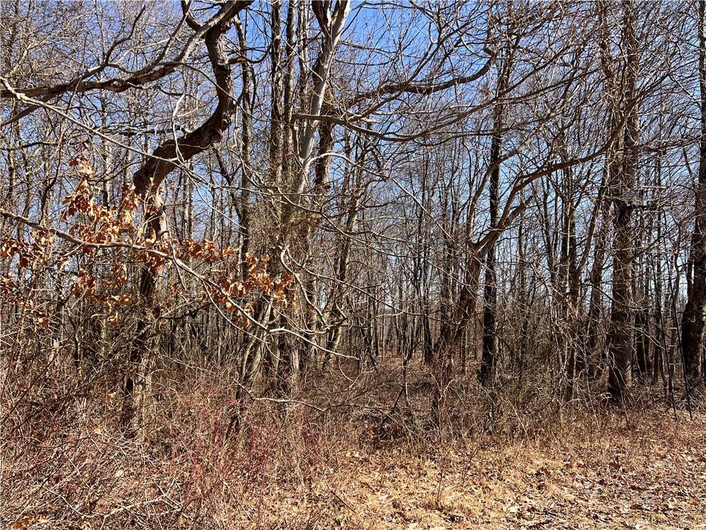 64-acres Along Gallagher & Loop Roads Dayton, PA 16222 - Photo 17 of 21 a view of a yard with a tree
