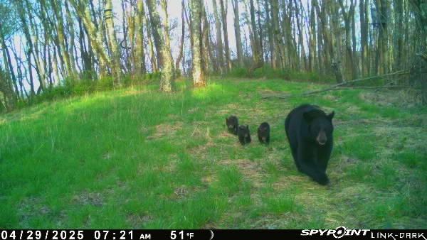 64-acres Along Gallagher & Loop Roads Dayton, PA 16222 - Photo 21 of 21 a view of a backyard