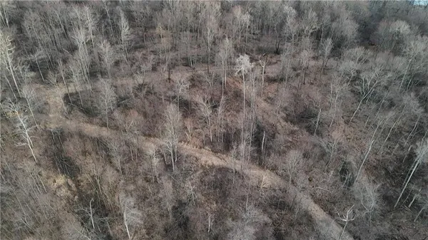 a view of a dry yard