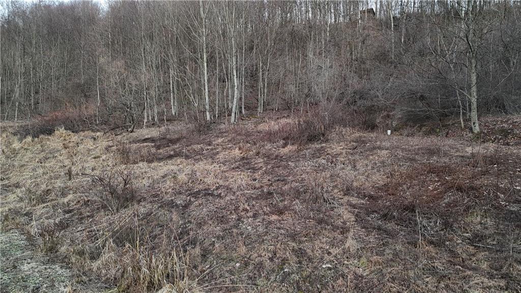 64-acres Along Gallagher & Loop Roads Dayton, PA 16222 - Photo 25 of 35