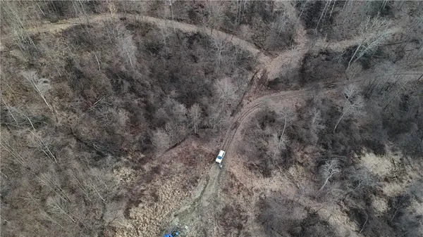 a view of a yard in a yard