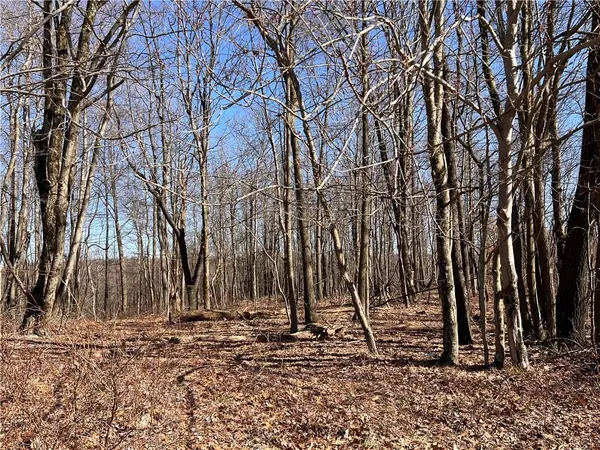 $464,000 | 64-acres Along Gallagher & Loop Roads, Dayton, PA 16222
