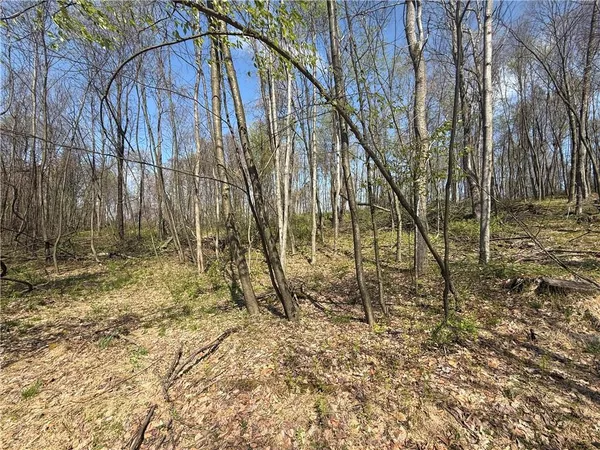 $464,000 | 64-acres Along Gallagher & Loop Roads, Dayton, PA 16222