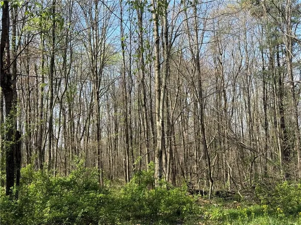 $464,000 | 64-acres Along Gallagher & Loop Roads, Dayton, PA 16222