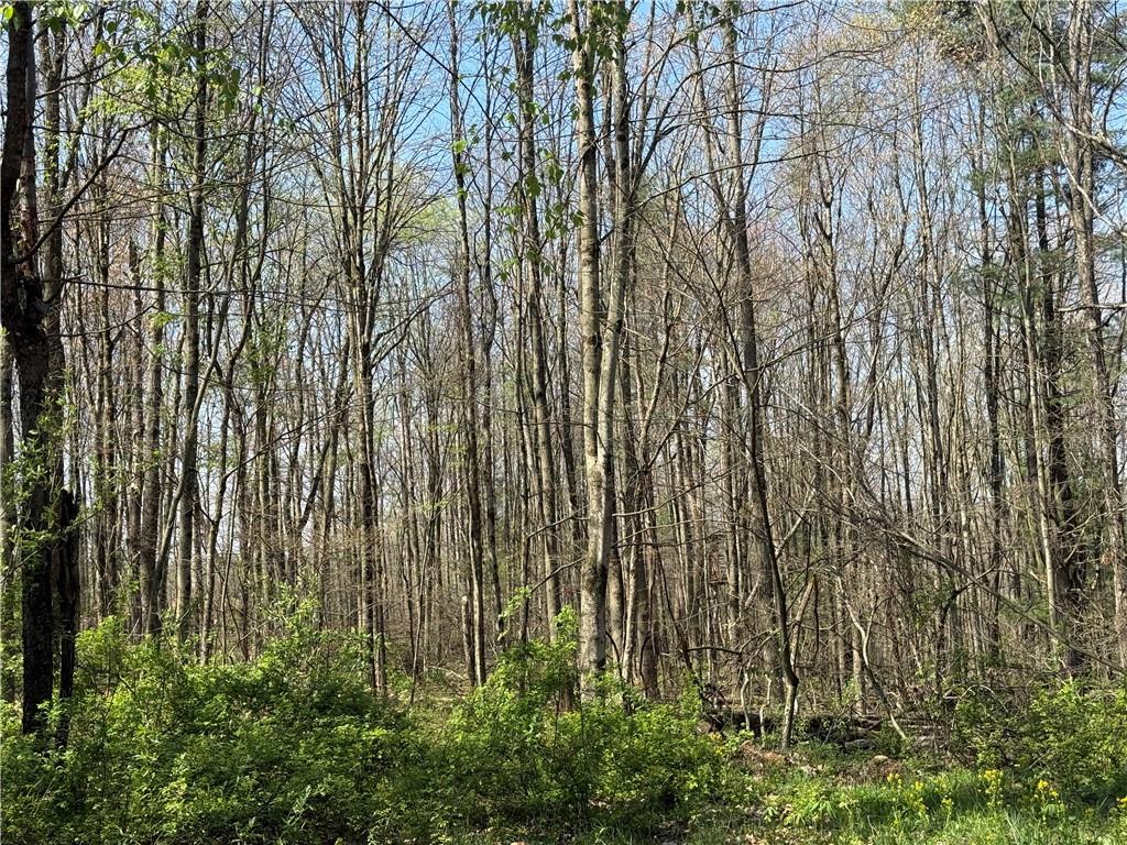 64-acres Along Gallagher & Loop Roads Dayton, PA 16222 - Photo 35 of 35