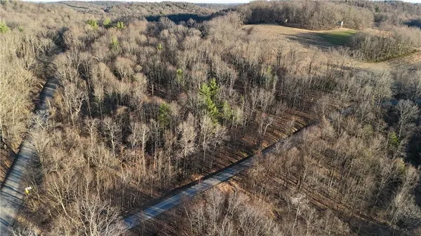 a view of a dry yard