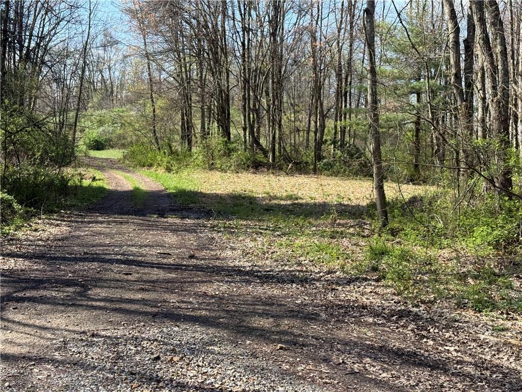 64-acres Along Gallagher & Loop Roads Dayton, PA 16222 - Photo 5 of 35