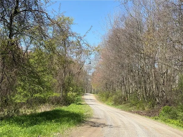 a view of a yard with an trees