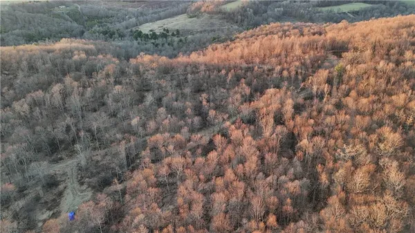 a view of a dry yard
